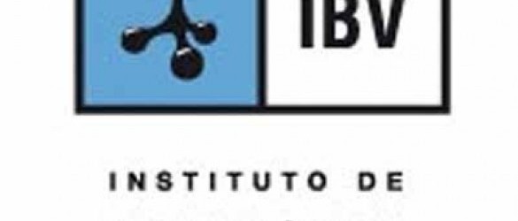 IBV - Instituto de Biomecánica de Valencia