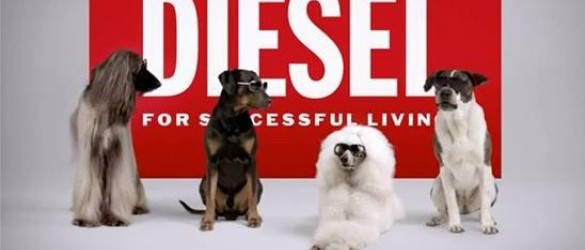 Diesel- Lentes   Primavera-Verano 2012