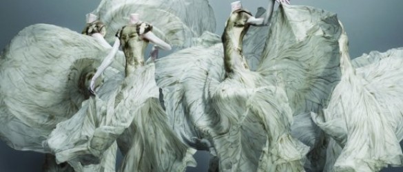 El porfolio de Alexander McQueen