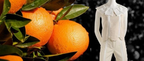 Fibra de naranja