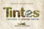 Tintes naturales de plantas nativas colores de la patagonia