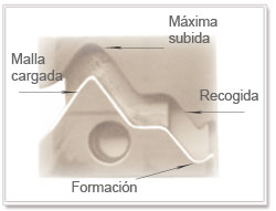 posiciones formacion