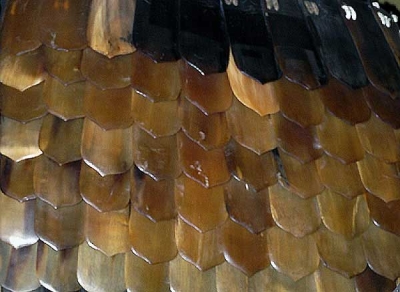 Scale horn armour (1886.1.242.2)